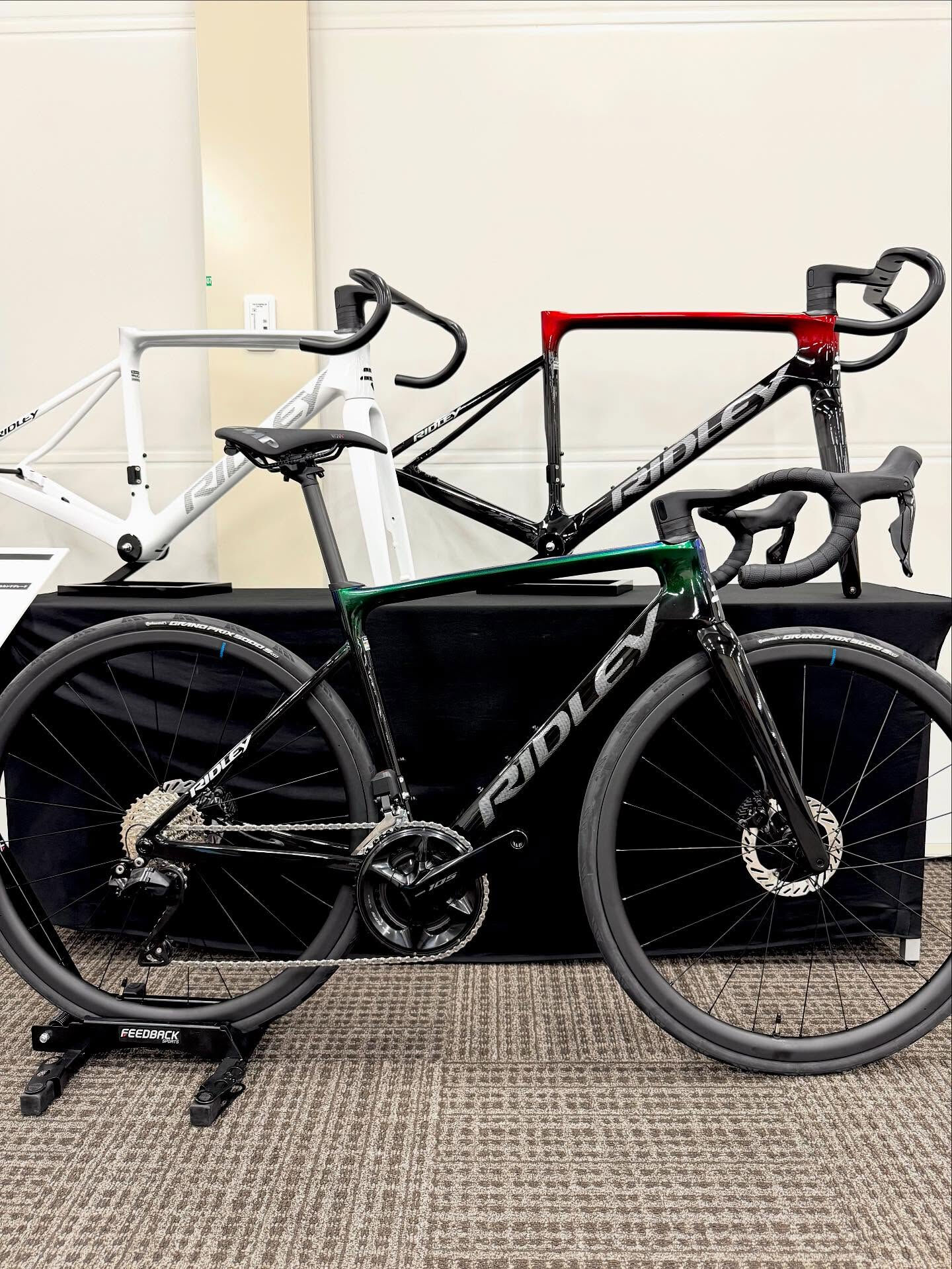 【RIDLEY World Collection Volum