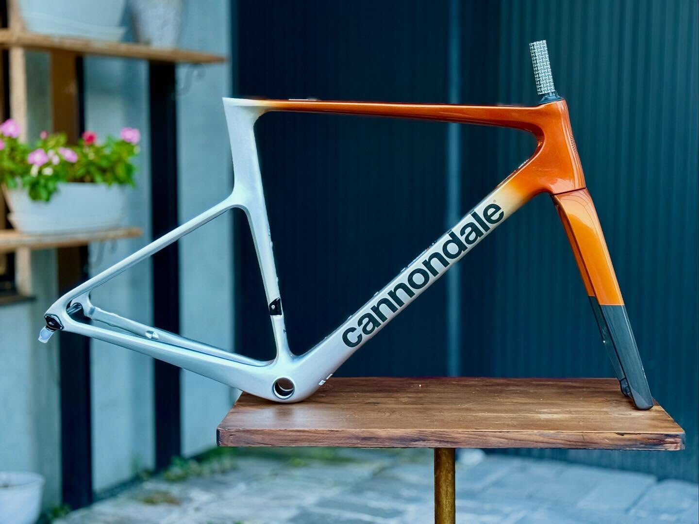 【 Cannondale Hi-MOD入荷 】