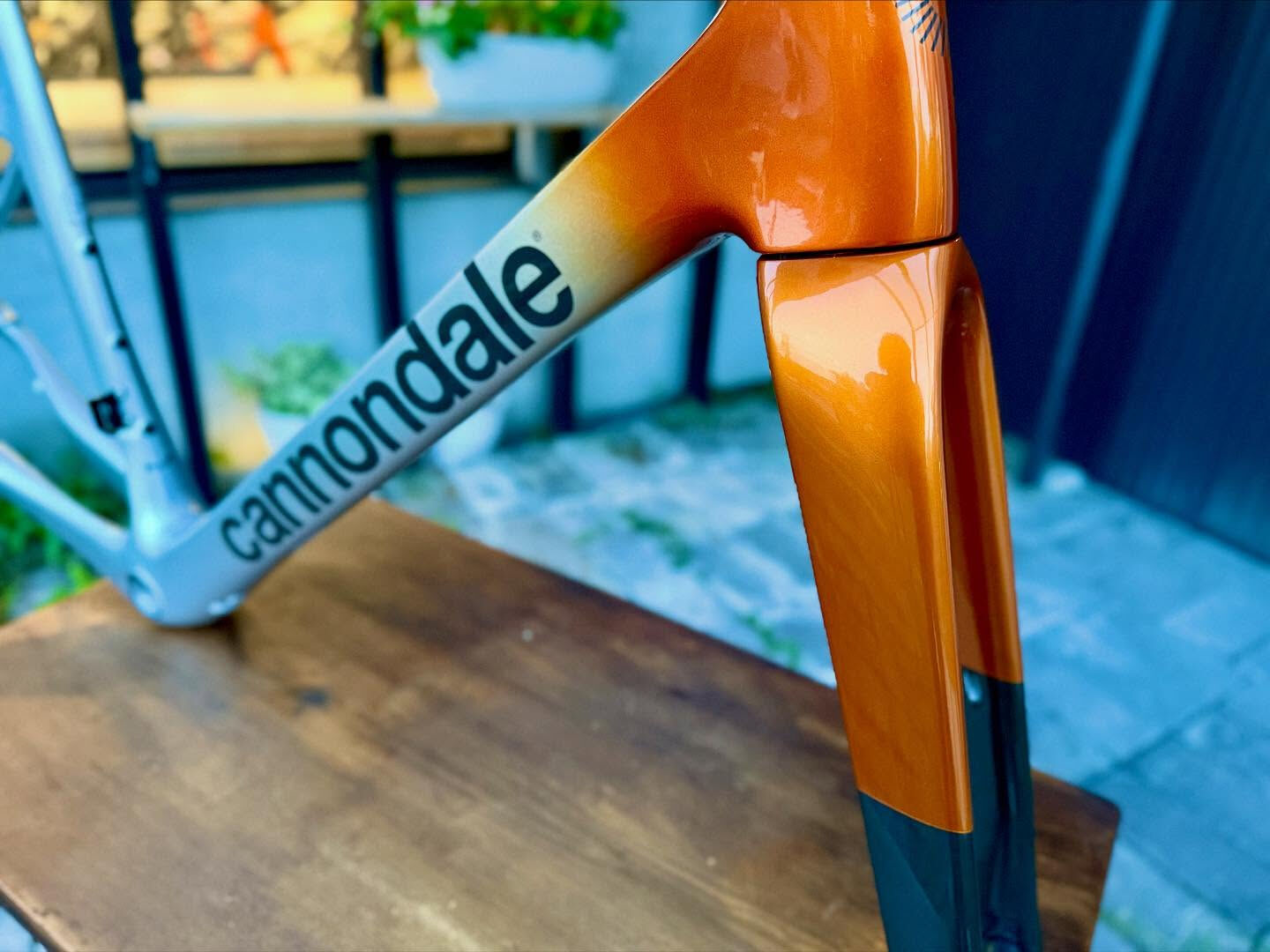 【 Cannondale Hi-MOD入荷 】