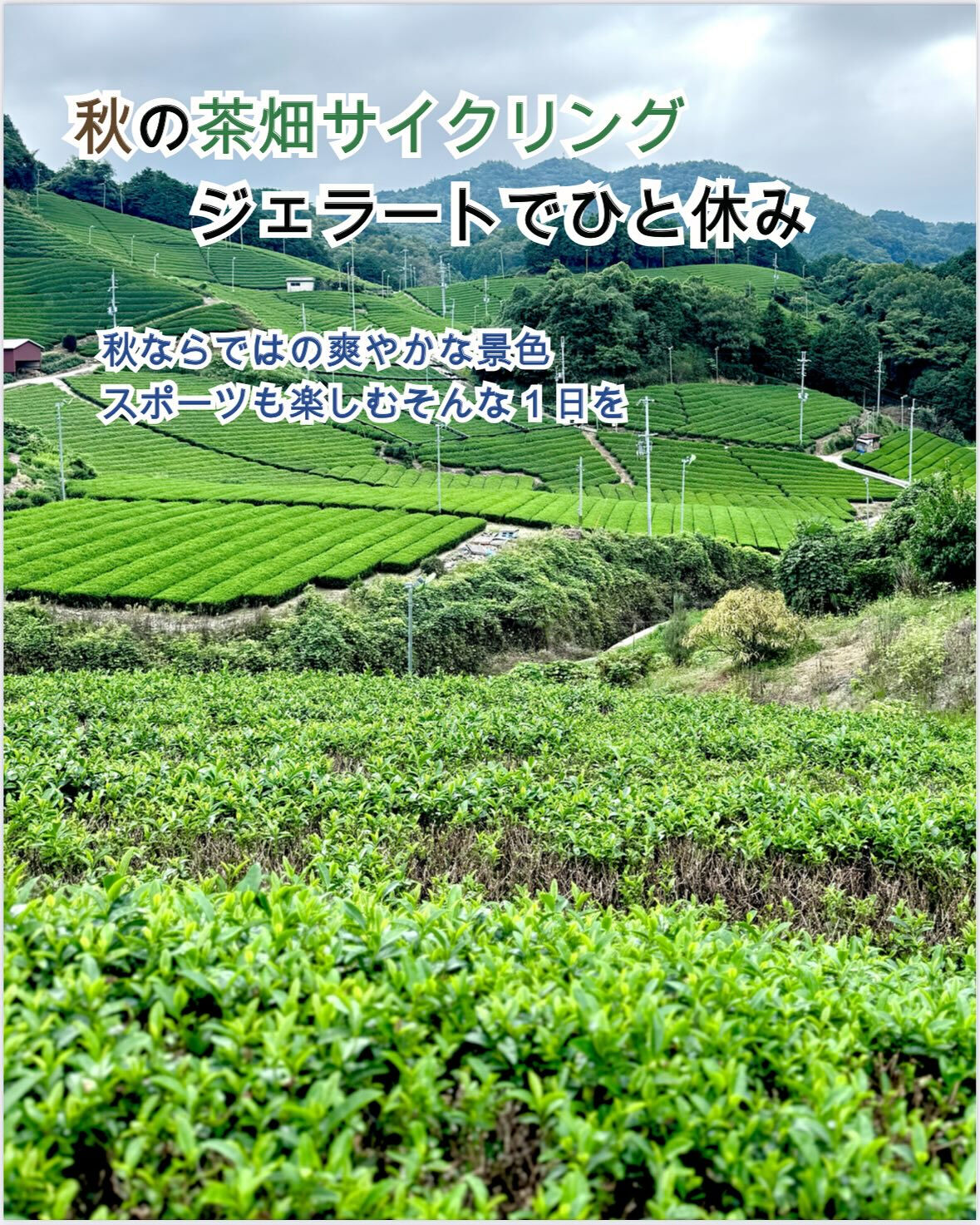 【10月はジェラートライド】
