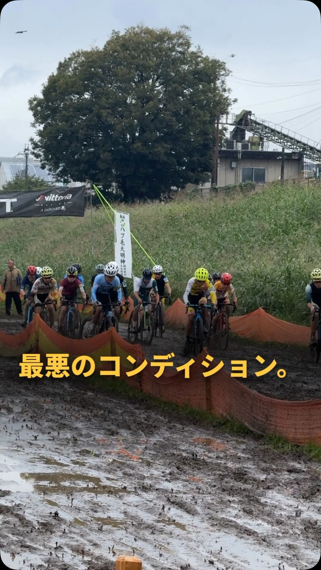 動画サムネイル